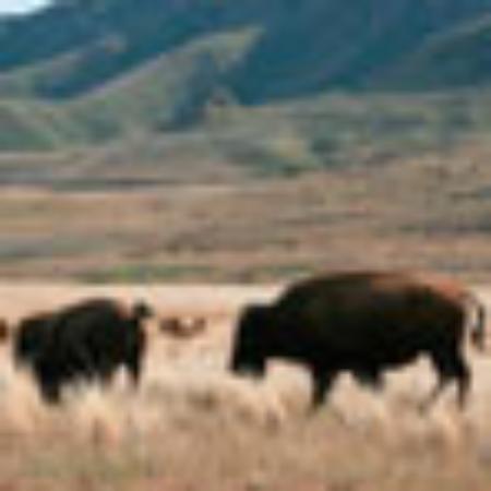 Bischofer Almausschank